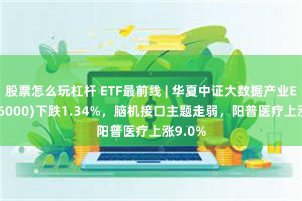 股票怎么玩杠杆 ETF最前线 | 华夏中证大数据产业ETF(516000)下跌1.34%，脑机接口主题走弱，阳普医疗上涨9.0%