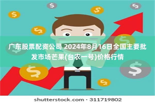 广东股票配资公司 2024年8月16日全国主要批发市场芒果(台农一号)价格行情