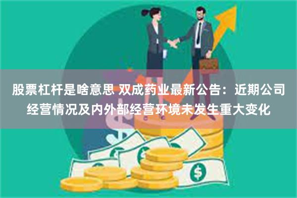 股票杠杆是啥意思 双成药业最新公告：近期公司经营情况及内外部经营环境未发生重大变化