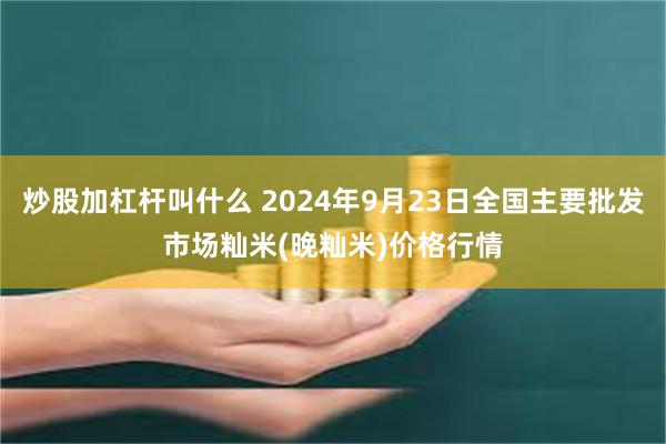 炒股加杠杆叫什么 2024年9月23日全国主要批发市场籼米(晚籼米)价格行情