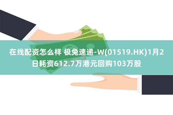 在线配资怎么样 极兔速递-W(01519.HK)1月2日耗资612.7万港元回购103万股