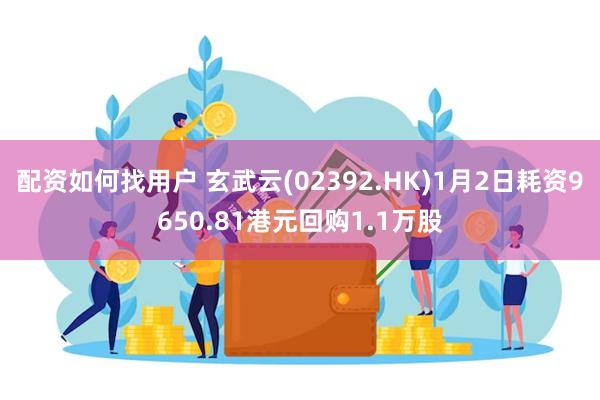 配资如何找用户 玄武云(02392.HK)1月2日耗资9650.81港元回购1.1万股