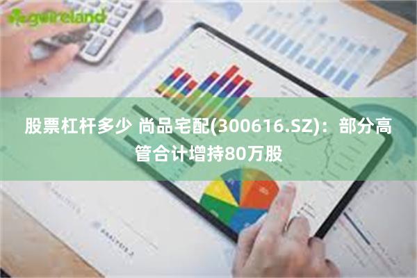 股票杠杆多少 尚品宅配(300616.SZ)：部分高管合计增持80万股