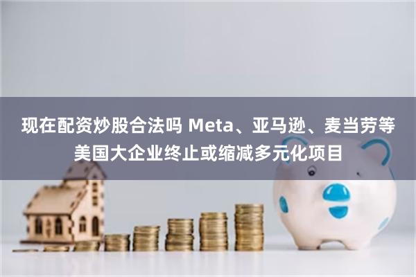 现在配资炒股合法吗 Meta、亚马逊、麦当劳等美国大企业终止或缩减多元化项目