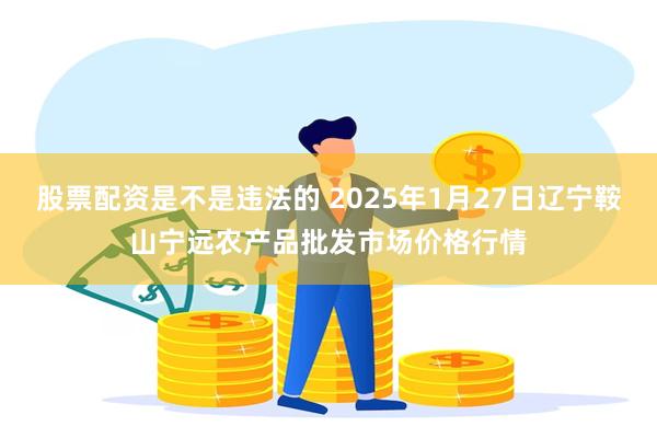 股票配资是不是违法的 2025年1月27日辽宁鞍山宁远农产品批发市场价格行情