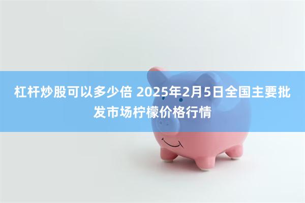 杠杆炒股可以多少倍 2025年2月5日全国主要批发市场柠檬价格行情