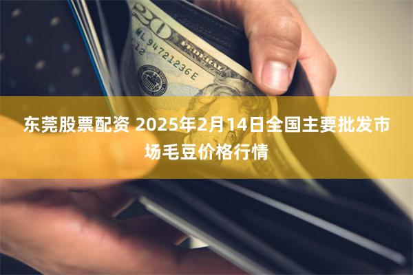 东莞股票配资 2025年2月14日全国主要批发市场毛豆价格行情