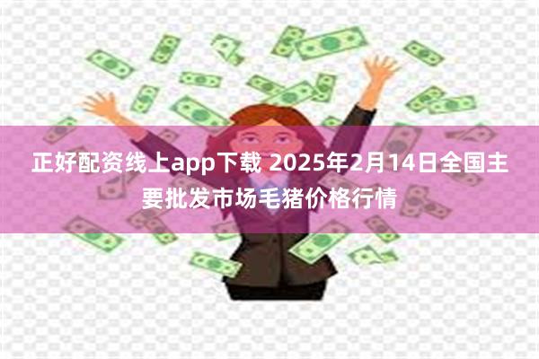 正好配资线上app下载 2025年2月14日全国主要批发市场毛猪价格行情